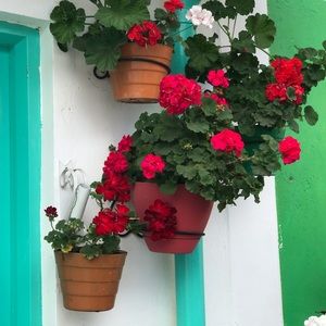 Meet your Posher, Claudia